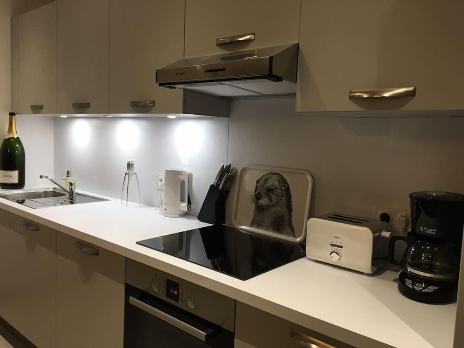 Comfortable, Cozy, Chill, Spacious, Near Cathedral Reims Exterior foto